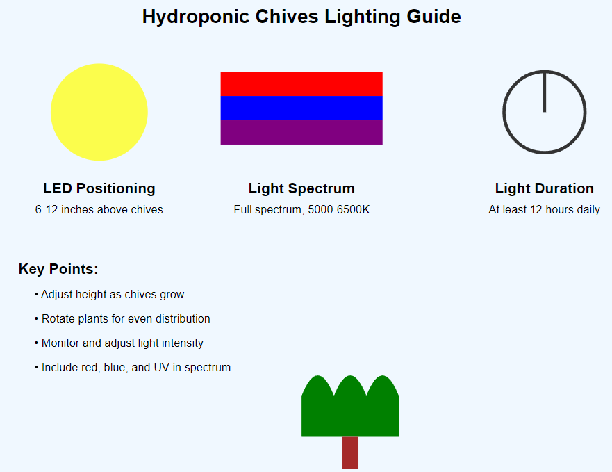 Hydroponic Chives Lighting Guide: LED positioning 6-12 inches above chives, full spectrum light (5000-6500K), and 12+ hours daily light duration. Key points include adjusting height as chives grow, rotating plants for even distribution, monitoring light intensity, and including red, blue, and UV in the spectrum.