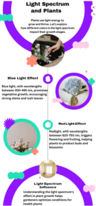 Light spectrum for hydroponic herbs: Blue light (450-495 nm) promotes vegetative growth, red light (620-750 nm) triggers flowering and fruiting, optimizing conditions for healthy plant growth.