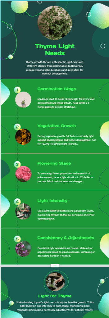 Thyme Light Needs: Detailed infographic on hydroponic thyme lighting requirements including germination, vegetative growth, flowering stage, light intensity, and consistency adjustments for optimal growth.