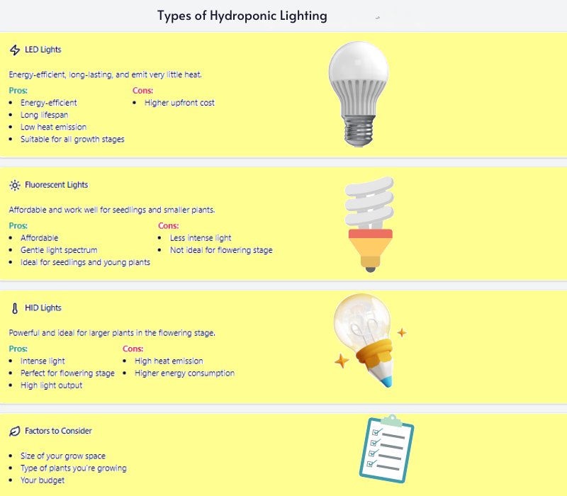 Types of Hydroponic Lighting: Comparison of LED, fluorescent, and HID lights, detailing pros and cons for each type, and factors to consider such as grow space size, plant type, and budget.