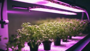 thyme hydroponic lighting guide