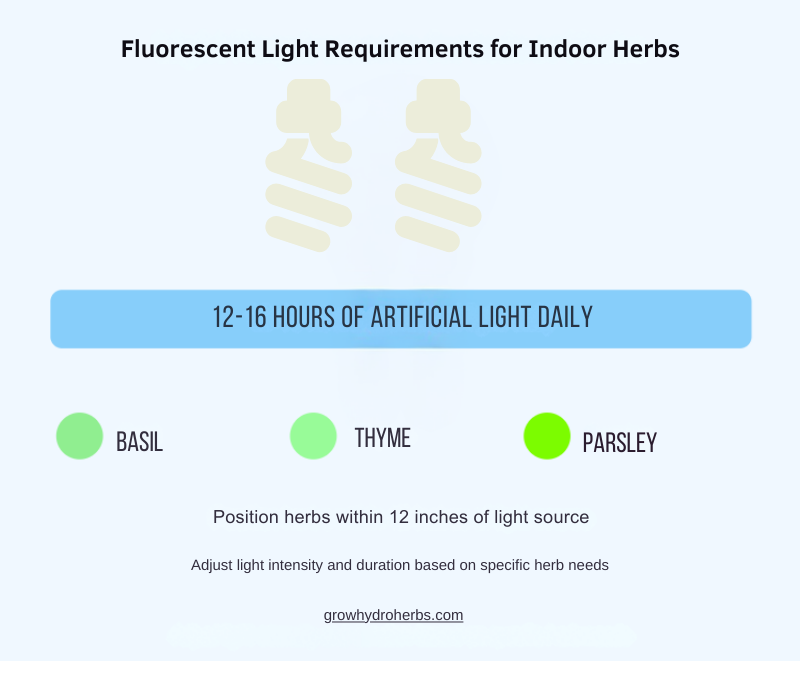 Infographic showing requirements for indoor herb gardening with fluorescent lights. Two light icons represent the light source. Below it, a blue bar indicates '12-16 hours of artificial light daily'. Three circles represent basil, thyme, and parsley. Dotted lines illustrate positioning herbs within 12 inches of the light source. The bottom text reminds to adjust light intensity and duration based on specific herb needs.