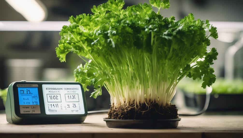 hydroponic parsley nutrient needs