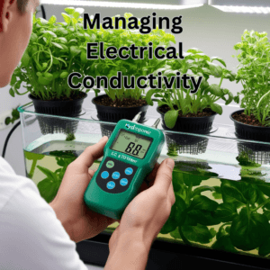 Measuring EC levels in hydroponic nutrient solution to optimize plant growth